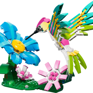 Wild Animals: Colorful Hummingbird